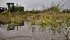 While 2012 is better for many, some areas are seeing extreme weather. | File photo
