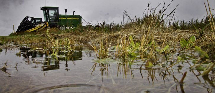 While 2012 is better for many, some areas are seeing extreme weather. | File photo