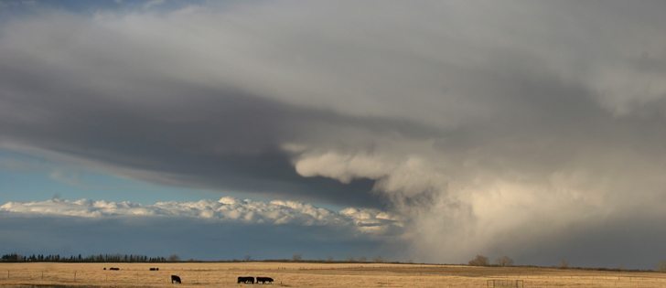Armchair weathermen trying to stay ahead of the summer storm season are advised to listen for warnings and keep an eye on the sky.   | File photo