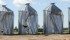 Granaries were caved in by the force of the wind at Siegert Wenning’s farm near Wroxton, Sask. A row of six smaller bins were torn off their foundations and scattered across the field. In all, 120,000 bushels of grain storage were lost. The total dollar value of the farm’s damage is still being assessed. | Chris Putnam photo