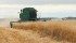 Breeders are trying to develop oat varieties that offer the right combinations to meet needs of growers, food manufacturers and consumers. | File photo