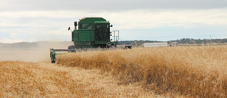 Breeders are trying to develop oat varieties that offer the right combinations to meet needs of growers, food manufacturers and consumers.  |  File photo
