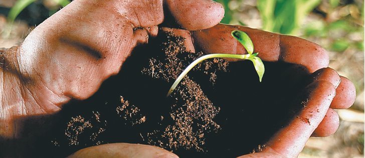 The concept of stewardship goes beyond the farmers and primary producers who make their living from the land.  |  File photo