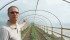 Brian Rozmahel shows off his homemade greenhouse on his Viking, Alta., farm. Rozmahel has planted 9,000 strawberry plants, 3,800 trees and two acres of vegetables. He hopes within three years the town can attract residents and create an eco village. | Mary MacArthur photo