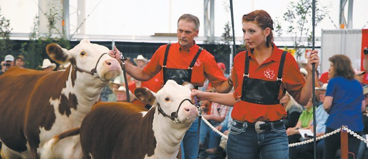 Cayley Brown, right, of Princeton, B.C., won grand champion at the World Hereford Conference junior show with her cow-calf pair. The next day she won grand champion polled female and reserve grand champion bull.  |  Barbara Duckworth photo