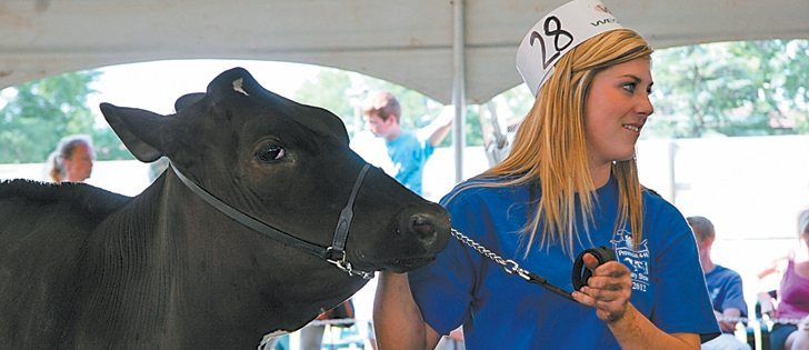 Katelyn Crest of Athabasca, Alta., was the supreme winner of the dairy division at the 2012 Summer Synergy, a junior livestock event held in conjunction with the Calgary Stampede.  |  Barbara Duckworth photo