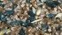 Ergot contamination in feed can cause animals to lose extremities and eventually will kill them. | File photo