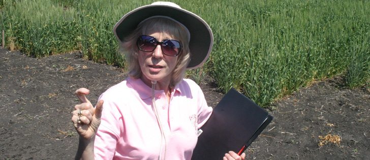 Agriculture Canada oat breeder Jennifer Mitchell Fetch tells farmers and the oat industry about the new varieties her team is developing.  |  Ed White photo