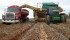 An increase in seeded acres and good weather is expected to produce a big Canadian potato harvest this year, enough to supply processors that ran short last year because of the small crop. | File photo