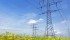 AltaLink plans to build a 350 kilometre long voltage transmission line that crosses farmland. | File photo