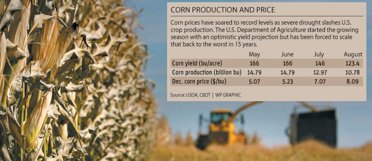 U.S. may look abroad to meet feed needs