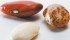 The USDA forecasts a 36 per cent increase in bean production over last year. | File photo