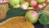 Cinnamon spiced apple butter is good on toast or biscuits and frozen apple sauce cubes can be thawed and used as one of baby’s first foods or in baking. | Betty Ann Deobald photo