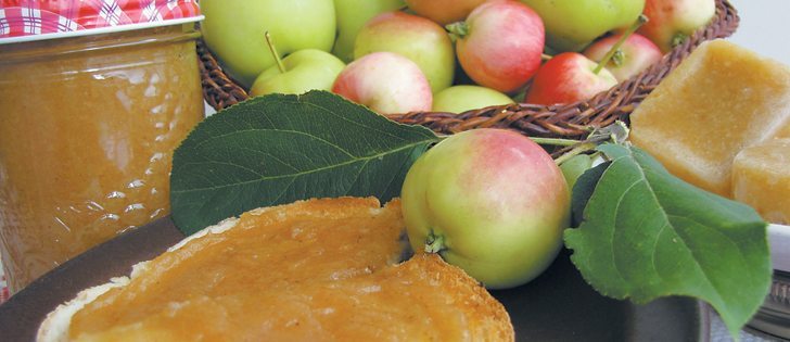 use bountiful harvest to