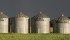 Producers who leave their grain accessible and unprotected could be in for a rude awakening. | File photo