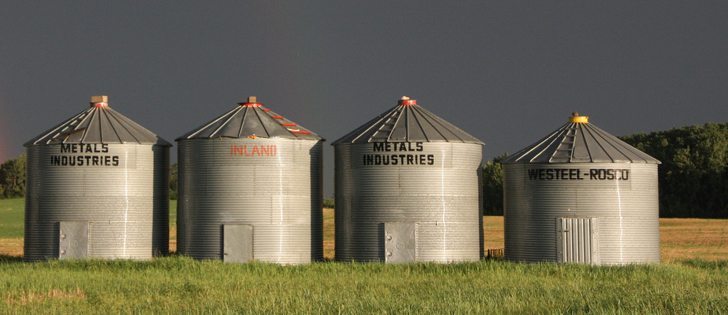 Producers who leave their grain accessible and unprotected could be in for a rude awakening. | File photo