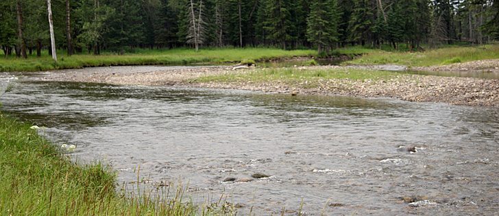 The Jumping Pound Creek crosses about 18 kilometres of CL Ranches owned by the Corpithorne family. After suffering serious damage in floods in 2005, the community formed a watershed partnership and developed a management plan to keep the creek healthy. It is a major tributary of the Bow River. | Barbara Duckworth photo
