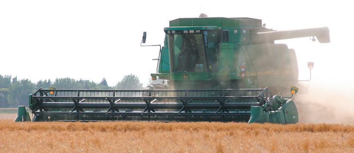 Agriculture Canada reduced its lentil ending stocks estimate to 650,000 tonnes, which is higher than the 261,000 tonne 10-year average.  |  File photo 