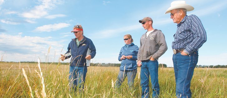 Saskatchewan Agriculture forage specialist Lorne Klein discusses grasses in a low-lying area of a field with landowners Kendra and Rob Elzinga of Valleyview, Alta., and neighbour Al Ratzlaff during a pasture walk at the Elzinga farm.  |  Mary MacArthur photo