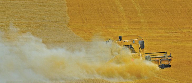 Mother Nature delivered outstanding harvest weather to most of the province’s growers this year, with good drying conditions, warm temperatures and little moisture.  |  File photo