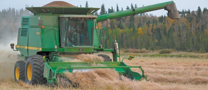 Garry Schmitke of Camrose, Alta., picks up the remaining canola swaths before wrapping up harvest for the season. Canola yields varied between fields. Yields were lower on this field along the Battle River Valley because of flooding the previous year.  |  Mary MacArthur photo