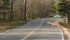 Animals never come out ahead when wildlife meets car. | File photo