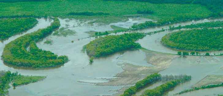 As more flooding has occurred in recent years, illegal drainage issues have become more common.  |  File photo