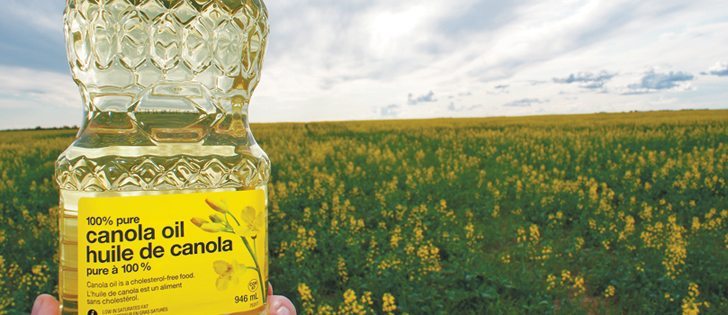 Canola yields fell far short of early estimates this year.  |  File photo
