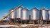 Prairie grain growers are taking a cautious approach to marketing wheat. Unfamiliarity with the new market, uncertainty over basis levels and the potential for rallies in the futures markets are all factors in the delay. | File photo