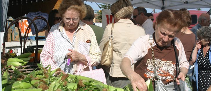 Genetically modified sweet corn is the first insect and herbicide resistant crop that would be widely consumed as a whole unprocessed food.  |  File photo