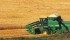 The ability to market grain without restraints imposed by the Canadian Wheat Board is enjoyed by Henry Vos, a former CWB director. | File photo
