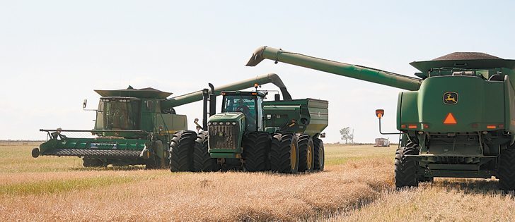 Markets will find out if wind damage during the canola harvest was significant when Statistics Canada posts its final crop estimates of the year on Dec. 5.  |  File photo