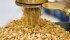The grain commission released a new fee schedule Nov. 1, outlining services and proposed fees. | File photo