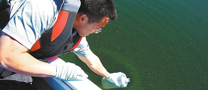 Timothy Tse, a graduate student at the Global Institute for Water Security in Saskatoon, gathers water samples during an algae bloom on Lake Diefenbaker in September 2011. Upstream from Lake Diefenbaker, some parts of the South Saskatchewan River have phosphorus levels 10 times higher than what researchers would expect to see in a healthy ecosystem.  |  Lorne Doig photo