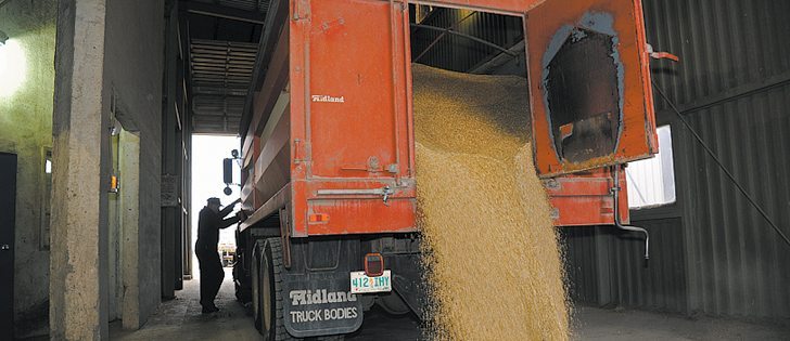 Farmers can take advantage of two new CWB pricing options. |  File photo
