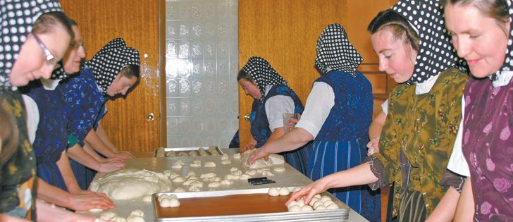 Image result for hutterites