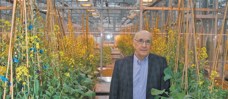 Wilf Keller helped transform genetically modified canola from a green speck in a petri dish into the biggest moneymaker in Canadian agriculture. | Sean Pratt photo