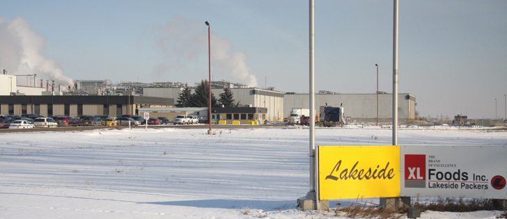 The Canadian Food Inspection Agency is under fire over another incident at the XL Foods plant near Brooks, Alta. | Barb Glen photo