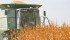 Grain markets are far too optimistic about South America’s pending corn and soybean crops, says a trader for a major grain firm.
| File photo