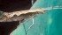 Understanding the diamondback moths’ ability to adapt to pesticides may help improve control methods. | Merle Shepard, Gerald R. Carner, P.A.C. Ooi photo