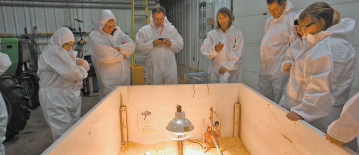 Members of the government, industry and the media look at day old chicks at a display at David Hyink’s broiler farm during a supply managment tour. | Mary MacArthur photo
