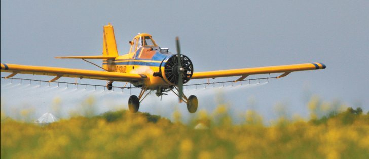 An Saskatchewan Agriculture official says central Saskatchewan is in the midst of a bertha armyworm outbreak, but populations can be managed through spraying when feasible.  |  File photo