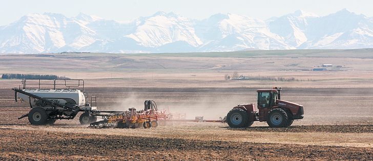 Agriculture Canada expects more wheat and soybean acres in Western Canada, with canola down one percent.  |  File photo