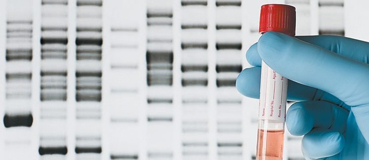 Glenn Strube has proven that DNA and dogged detective work aren’t just the realms of scientists and police officers.  | File photo