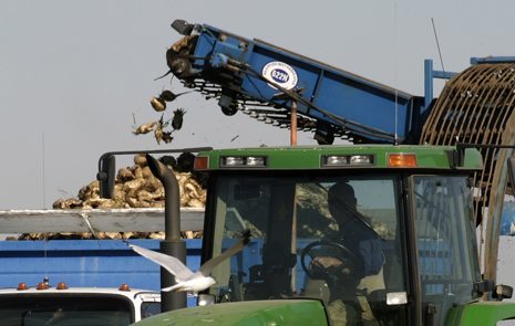 Sugar beet growers looking to expand