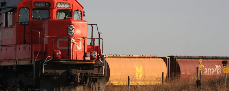 The federal government has introduced its long awaited rail service legislation in the House of Commons. File photo. (date last used February 7, 2013)
Grain hopper cars will be leased by the government to the new farmer controled grain car corporation.  Hopper cars on a CN line in eastern Alberta. Oct 26, 2005(WP photo by Michael Raine)