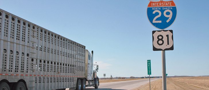 Fewer Canadian trucks have been heading to U.S. feedlots and slaughter plants since the introduction of country-of-origin labelling.  |  File photo