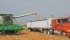 American growers are expected to plant the largest corn crop since 1936 this year. | File photo