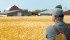 The CFA works to ensure all aspects of agriculture are profitable and viable, says the CFA president. | File photo