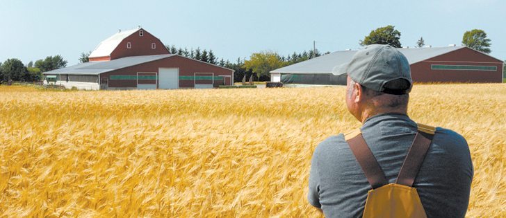 The CFA works to ensure all aspects of agriculture are profitable and viable, says the CFA president.  |  File photo